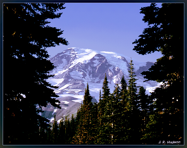 Mount Rainier framed by trees from Paradise